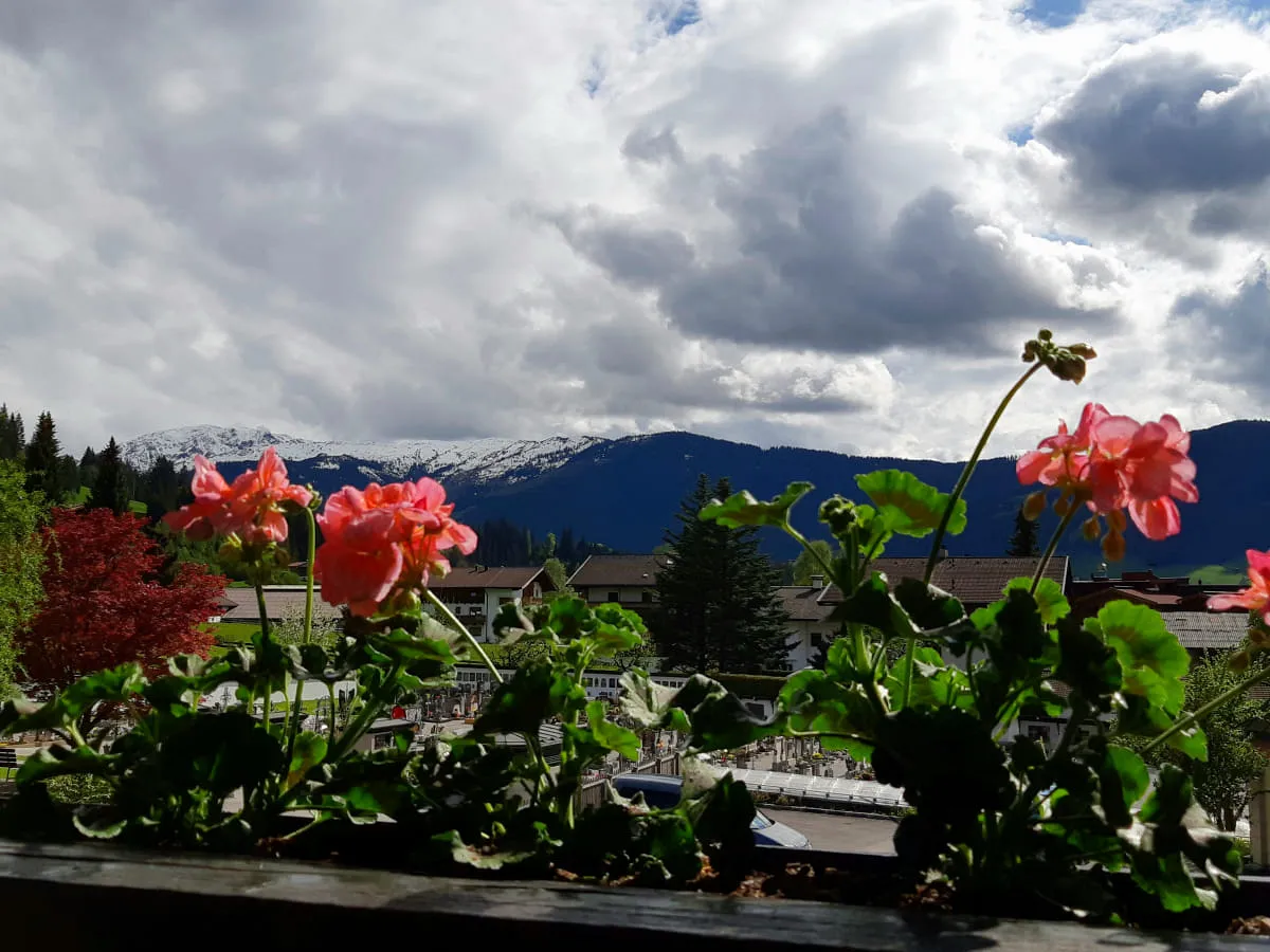 Blick von der Terrasse auf Berge und blühende Pflanzen